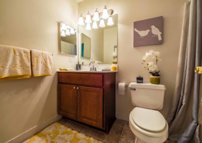 Cozy bathroom with toilet and spacious showers in The Meadows apartment rentals in Emmaus, PA